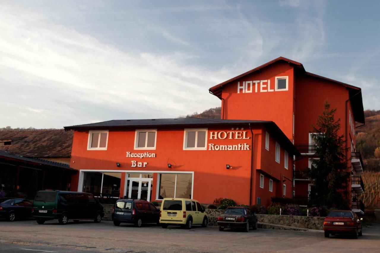 Отель Hotel Romantik Bălăuşeri-26